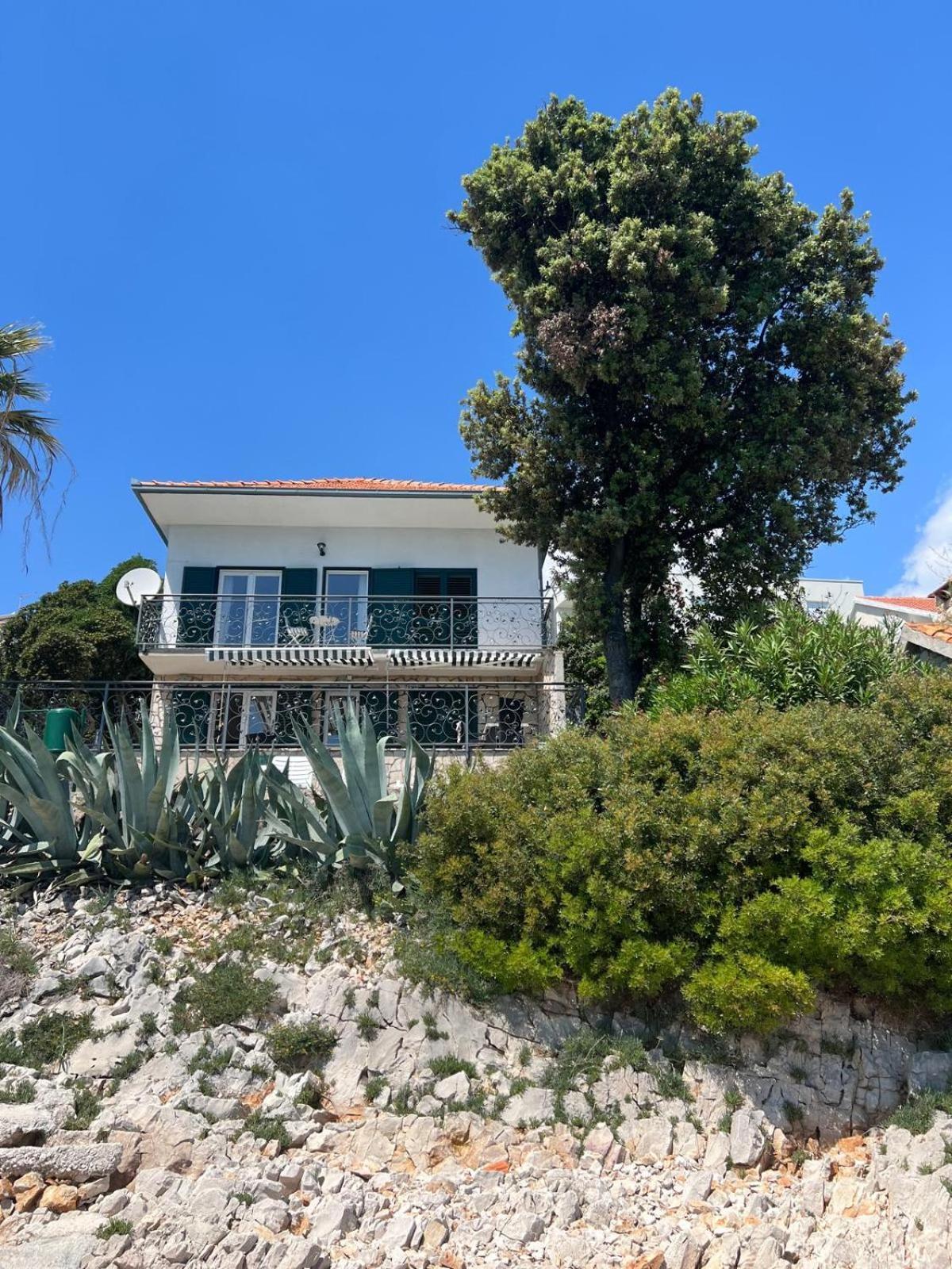 Villa Amarela 希杰·弗朗吉卡 外观 照片